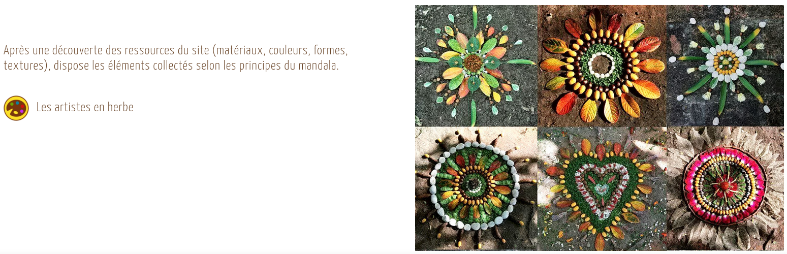 Actualités Camillienne