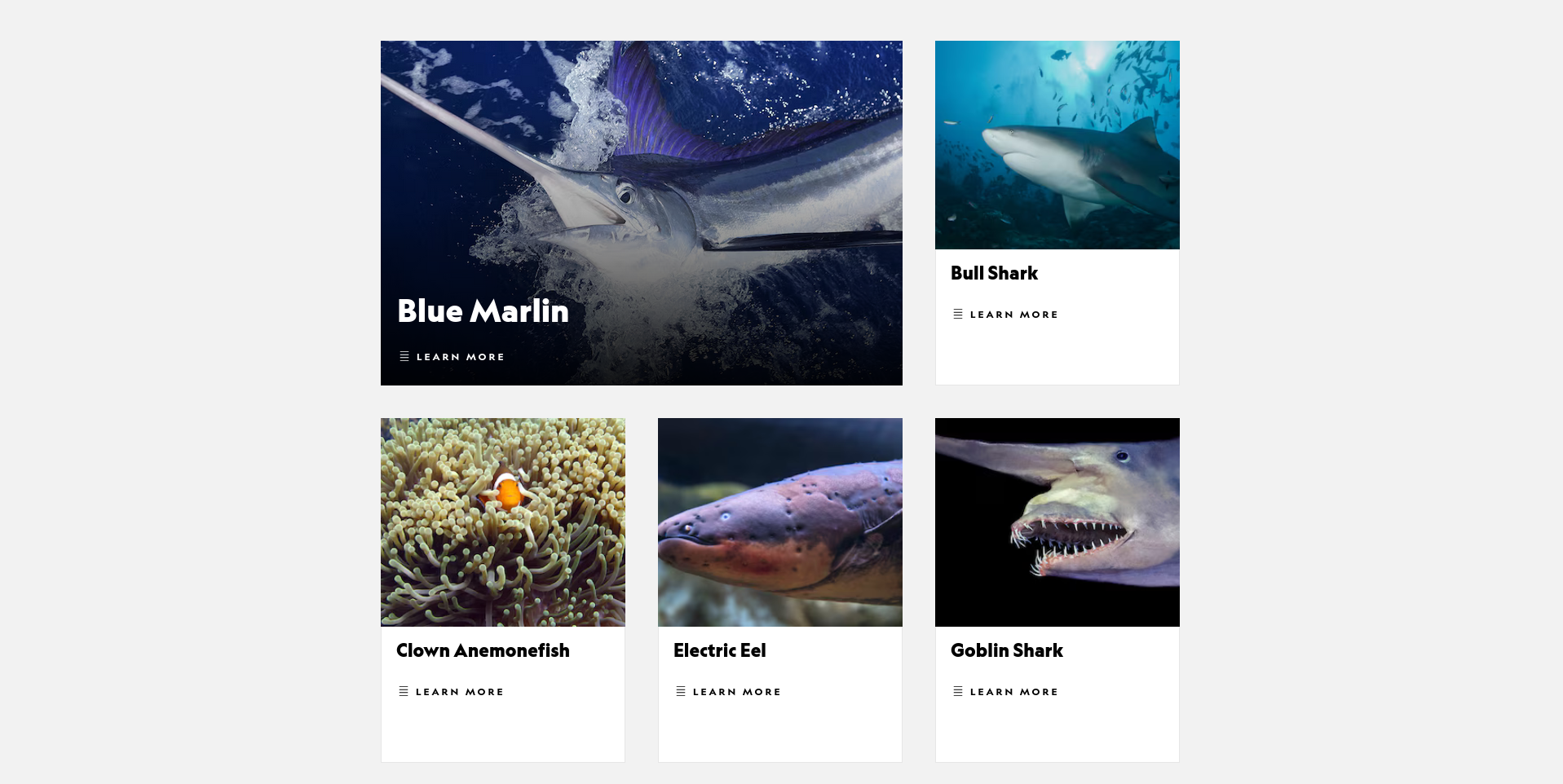 Actualités Camillienne